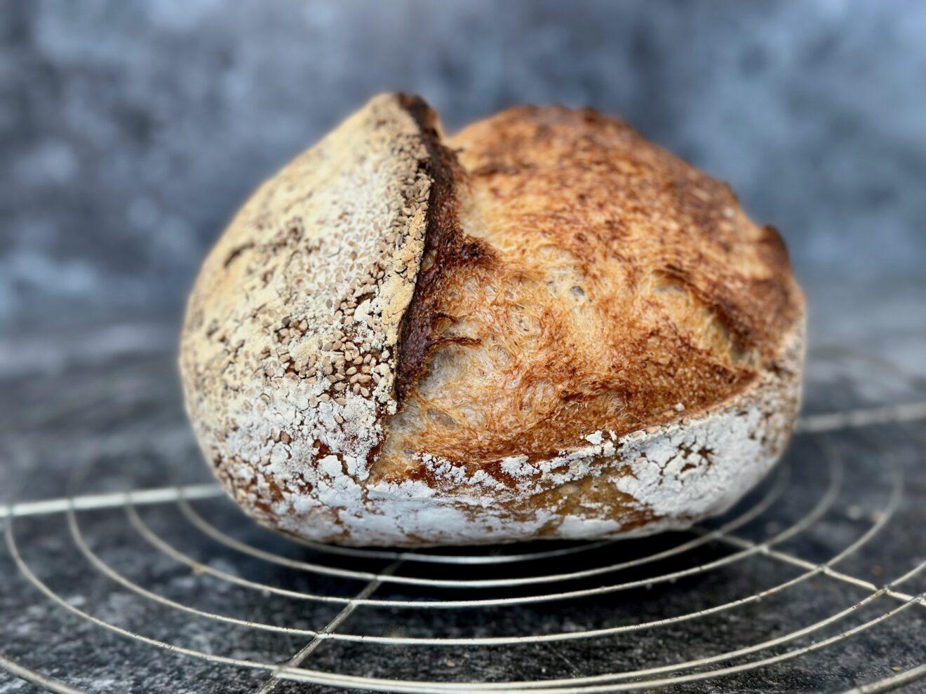 Reines Sauerteigbrot Mein Basisrezept Full Pantries